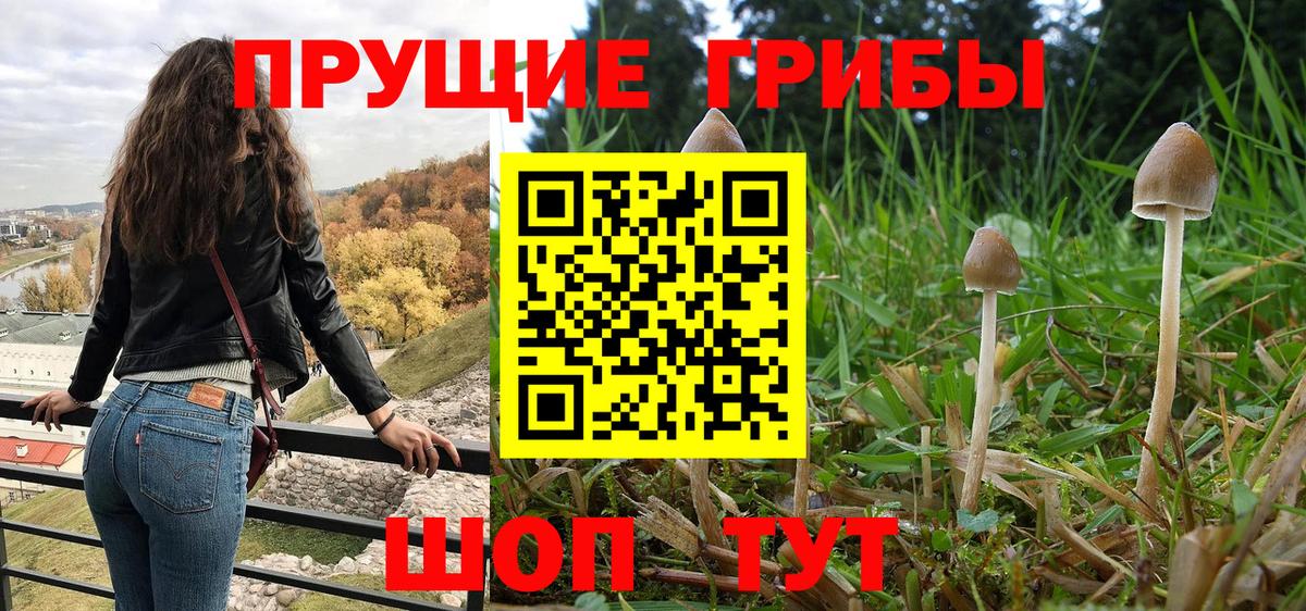 Псилоцибиновые грибы GOLDEN TEACHER  Вход с VPN  Галлюциногенные грибы Magic Shrooms  Томск 